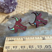 Load image into Gallery viewer, Carabao stud earrings
