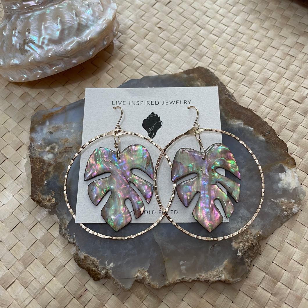 Monstera hoops (raibnow shell)