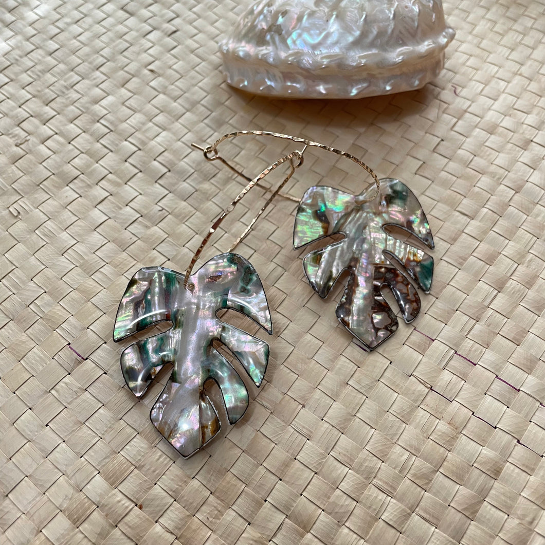 Monstera hoops (Mexican abalone)